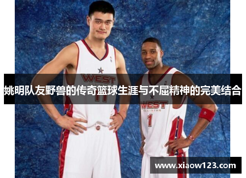 姚明队友野兽的传奇篮球生涯与不屈精神的完美结合